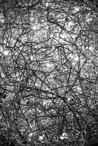 iStock_000003187334Large