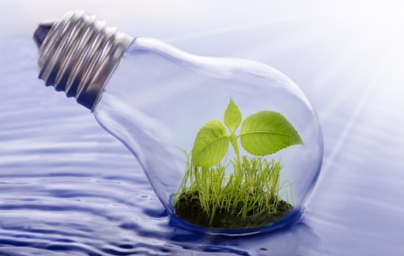 lightbulb plant water nexus iStock_000020312449Medium