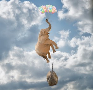 Elephant Flying With Balloons